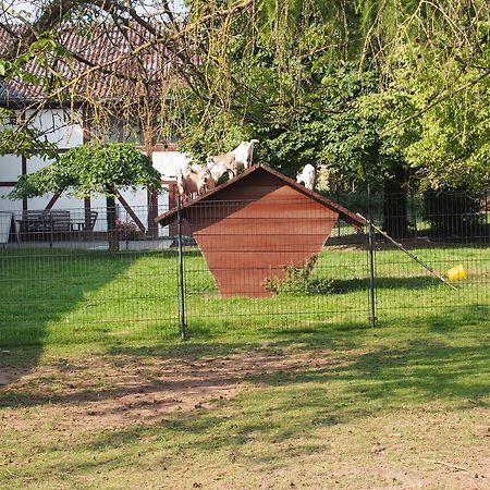 Gut Dankerode Apartamento Dankerode  Exterior foto